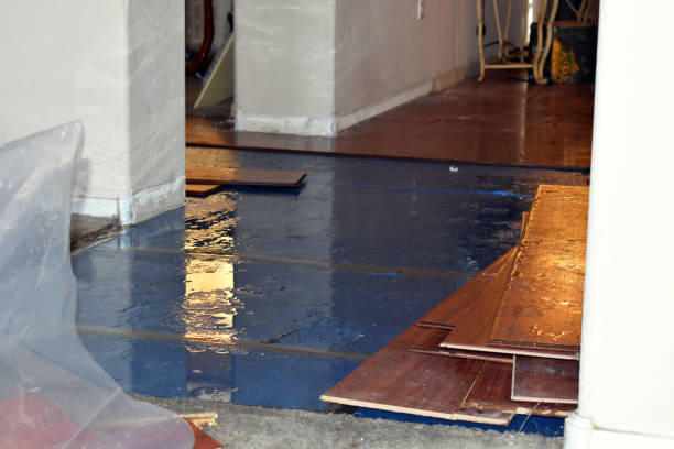 Professional Basement Flood Cleanup technician working in Leola, PA